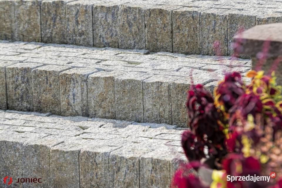 Palisada łupana Joniec Mogielica 30 Onyx Piryt Sandomierz