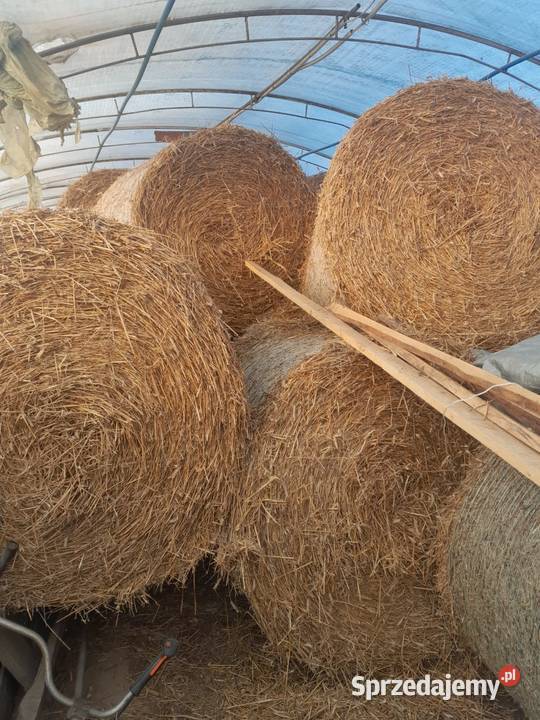 słoma siano