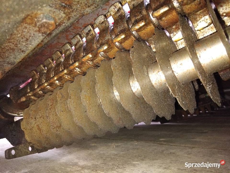 Przystawka do kukurydzy Geringhoff 6 rzędowa Drużbice sprzedam