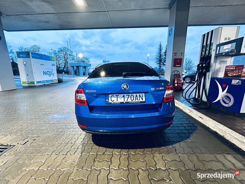 Ladna Skoda Octavia Inowrocław