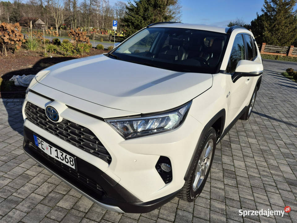 Toyota RAV4 25 hybryd Business Edition KAMERA czujnik parkowania Drelów