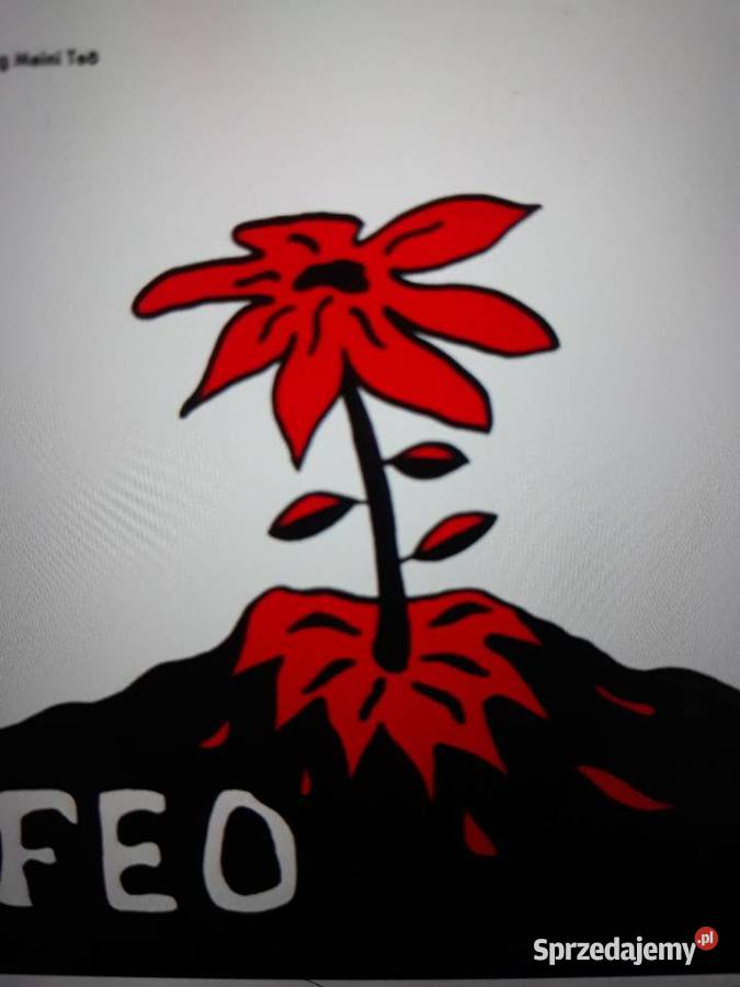 Archiwum prog psych rocka FEO Bedste Pa Den Fede 1 płyta podkarpackie Rzeszów