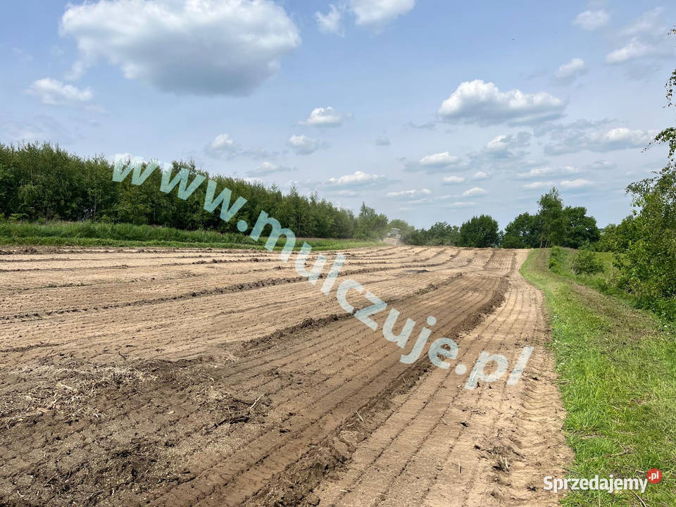 Mulczowanie wgłębne powierzchniowe rekultywacja Jaworzno prace ogrodowe