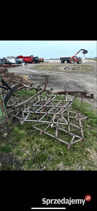 Brony 5 polowe Piotrków Kujawski sprzedam