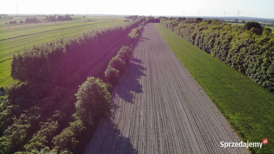 Działka rolna w Iłży 25zł/m2 Iłża