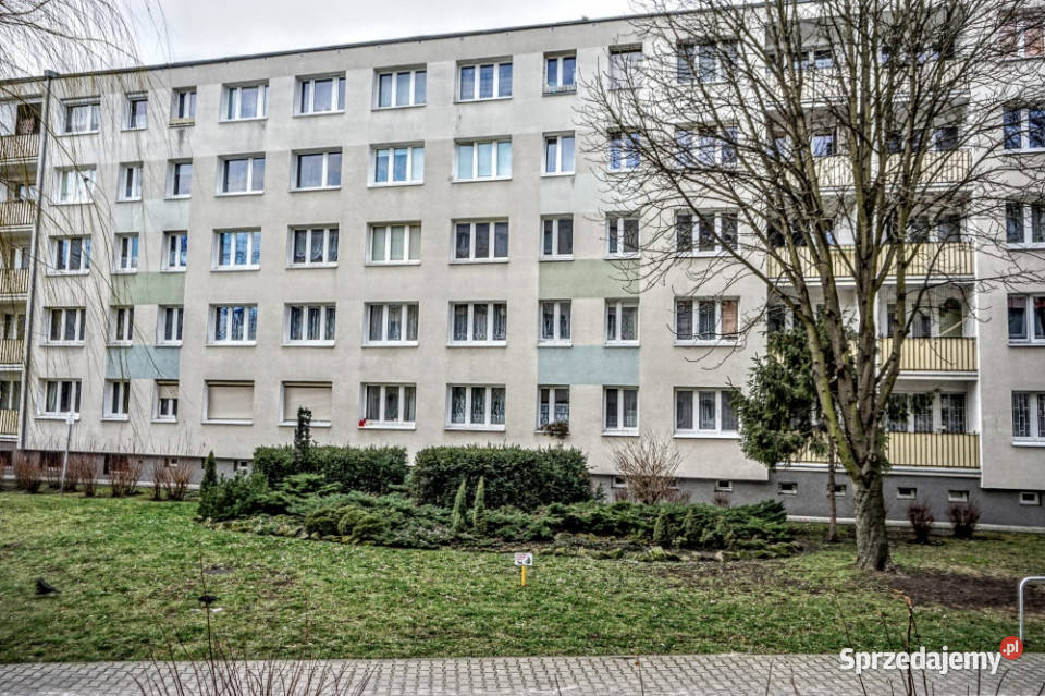 Poznań os Jagiellońskie dwa pokoje do wynajęcia