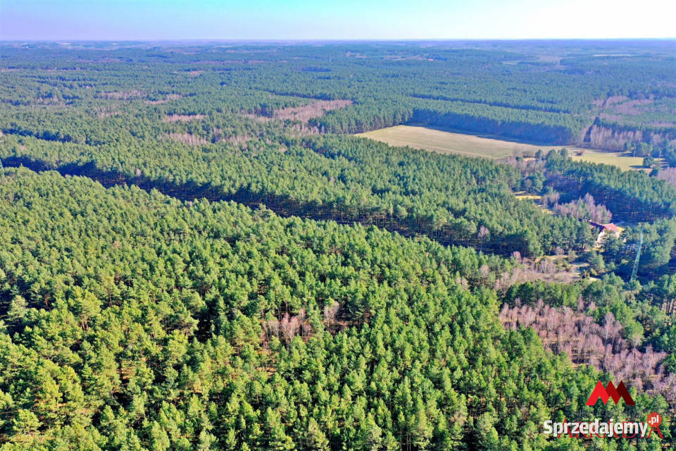 sprzedaży działki 12600m2 Bobrownickie Pole 12600m2