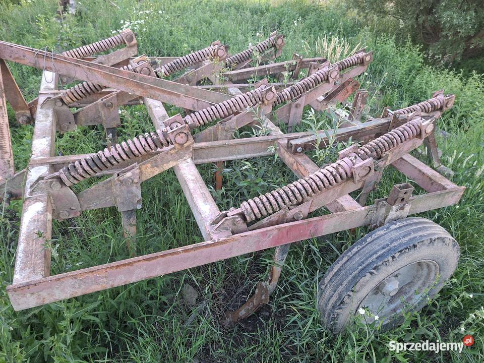 Gruber i siewnik kujawsko-pomorskie Ciche