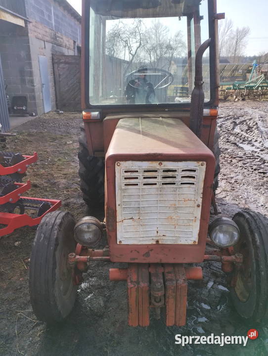 Władimirec t25 sprzedam Szadek