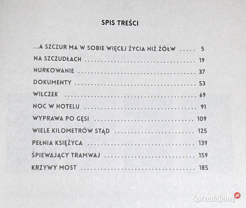 Inne historie miłosne Lucian Dan Teodorovici Chełm