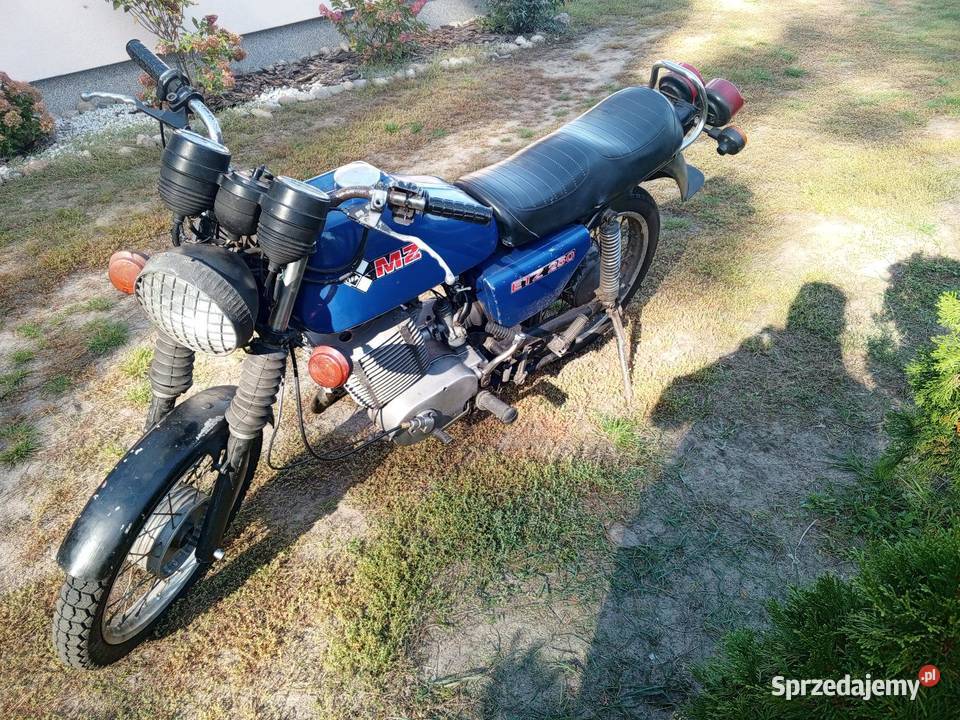 Mz