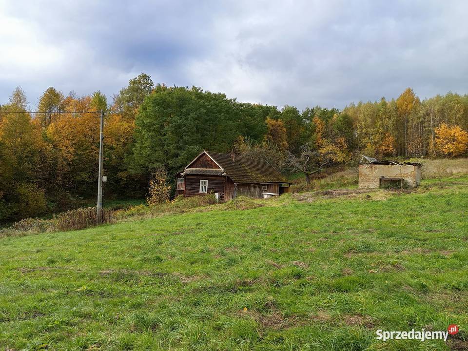 dom drewniany małopolskie Binarowa