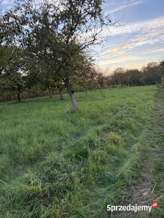 Działka Łańcut Grabskie 3951 ara sprzedam