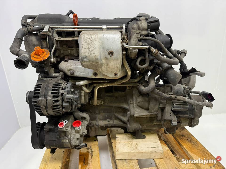 SILNIK VW Golf VI Jetta III Passat B6 B7 Tiguan osobowe lubelskie