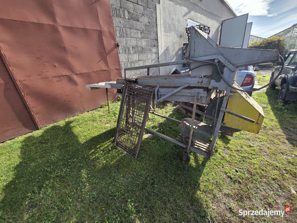 Sortownik do ziemniaków Kalisz sprzedam