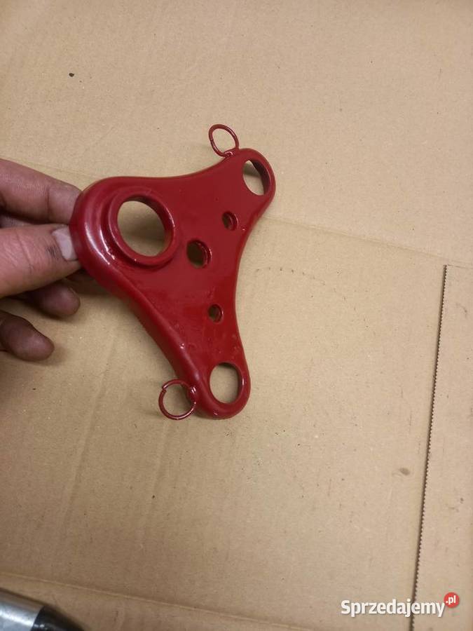 Polka zak rys Sokołów Podlaski sprzedam