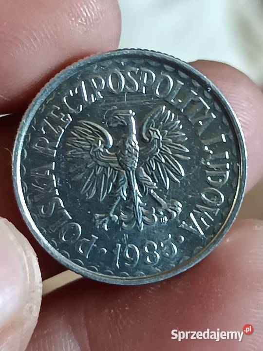 Sprzedam monete 1 zloty 1985 r Chełm sprzedam