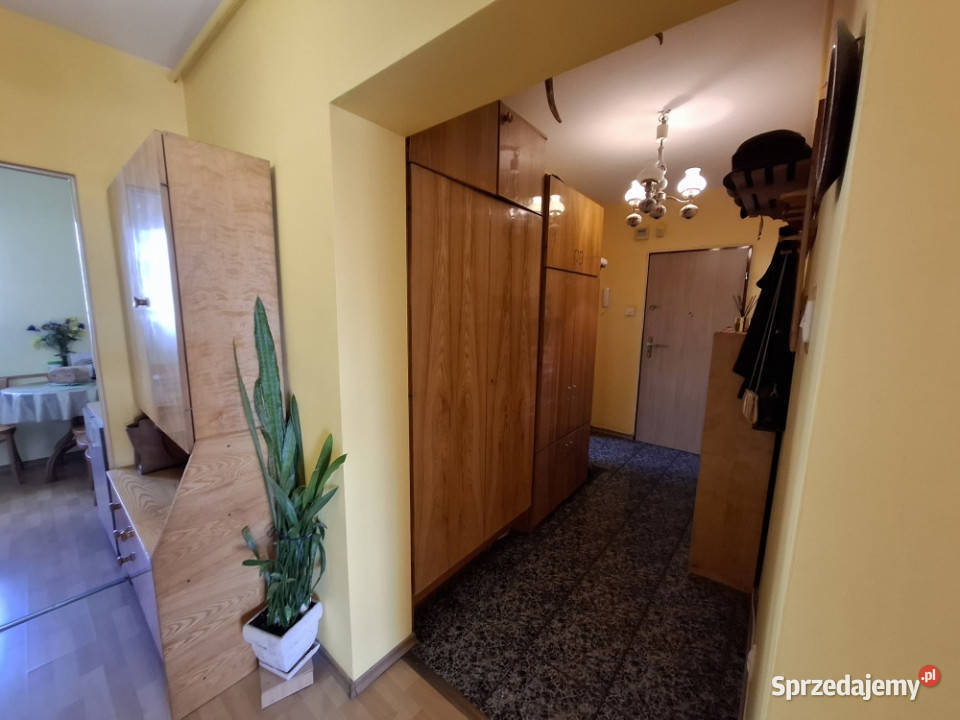 Sprzedam mieszkanie na parterze2 pokojebalkon 49m2 Sprzedaż Bydgoszcz
