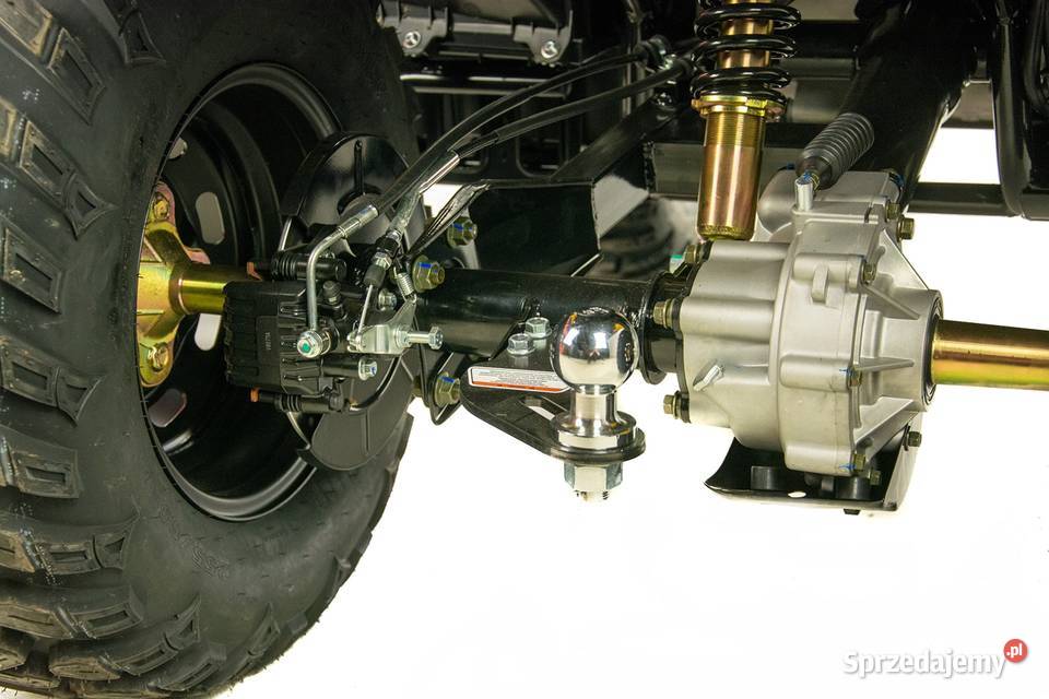 Dostawa Quad ASIX GLADIATOR 300 Mocny Promocja VAT marża Ciechanów