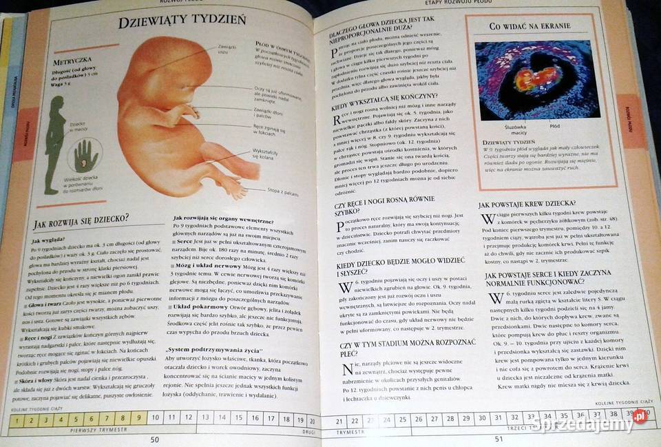 Ciąża Christoph Lees Karina Reynolds Grainne