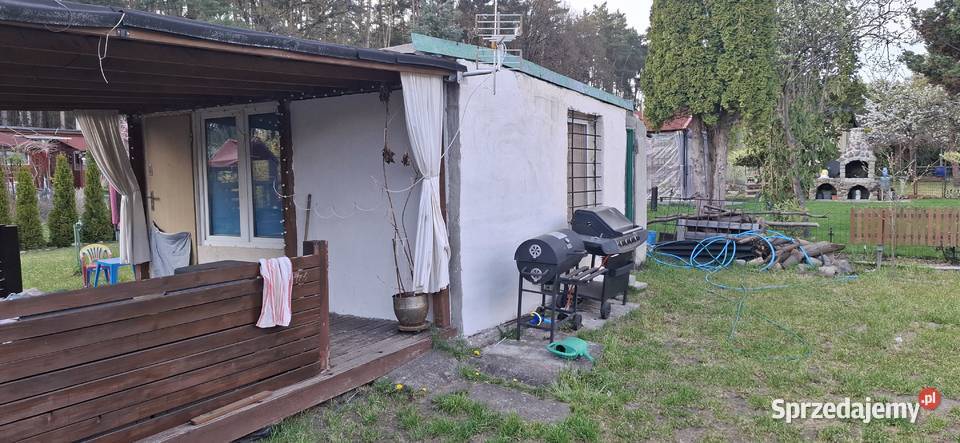 Działka ogrodnicza ROD 35lecia Zielona Góra Sprzedaż