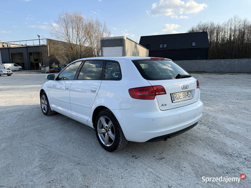 Audi A3 8P 2010 16 TDI 262 000 Pilzno