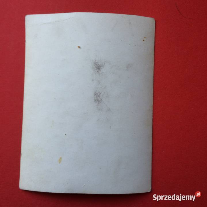 1385 Zdjęcie Moda zachodniopomorskie