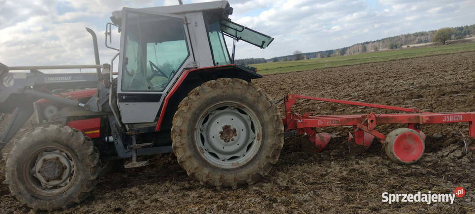 Massey Ferguson 3060 mazowieckie Siedlce