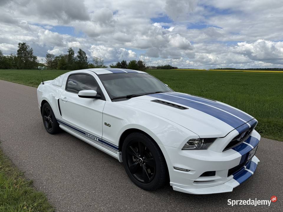 Ford mustang 50 gt 2014 Bielsk