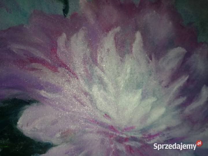 Bukiet pelargonii obraz olejny na płótnie Malarstwo Kuźnia Raciborska sprzedam