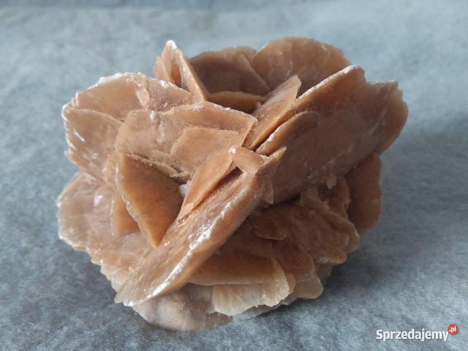 Róża Pustyni kamień ozdobny z Sahary 12 07 mazowieckie Warszawa