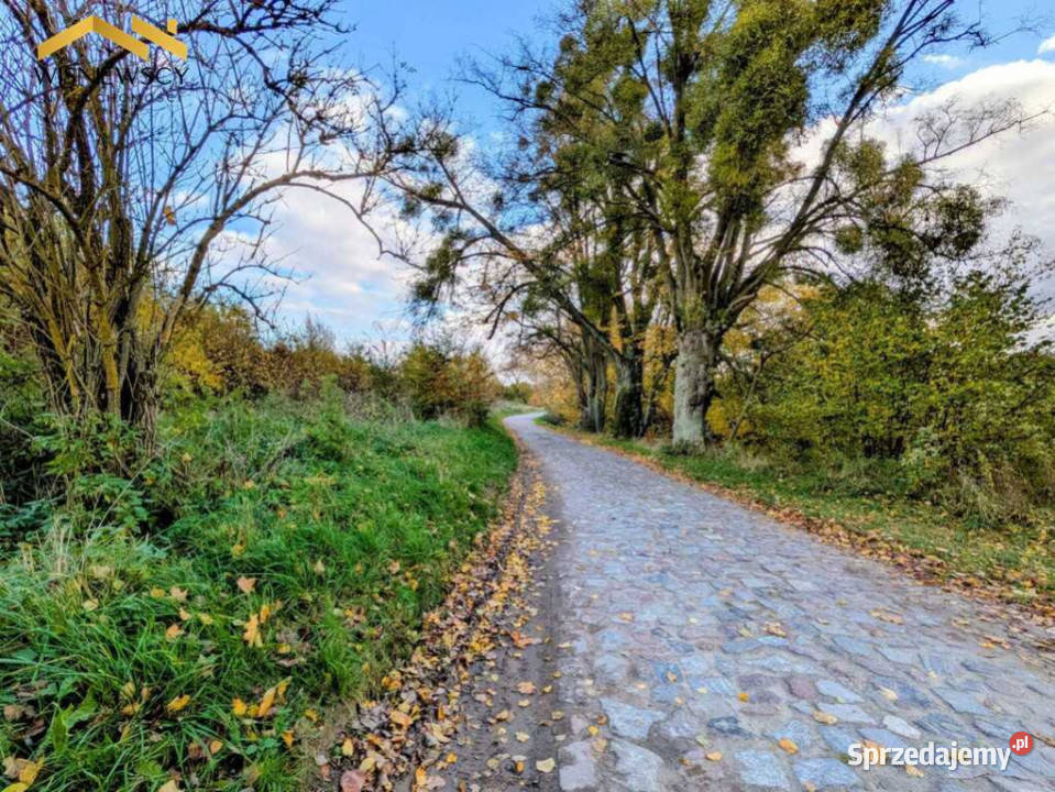 Na sprzedaż działki bud Sztumskie Pole 1146m2 polna Sprzedaż pomorskie