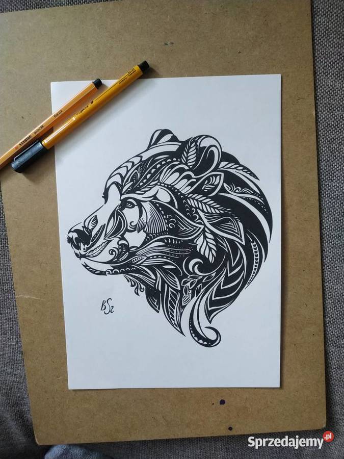Rysunek niedźwiedź cienkopis A4 250gm2 Warszawa