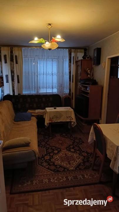 2pok 37met Ogrodu Botanicznego WINDA ZARAZ Wrocław