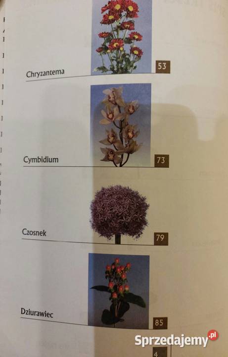 Kwiaty cięte uprawiane pod osłonami Marek Jerzy Wrocław