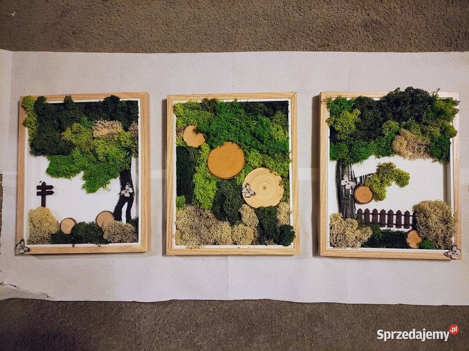 Zielono mi Tryptyk z mchu Obrazy wykonane z Ustka