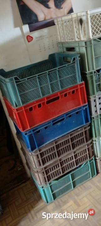 Kosze plastikowe skrzynka 10 sztuk 150 Jarosław