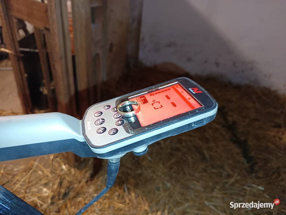Usługi wykrywaczem metaliodnajdywanie zgubionej Katowice