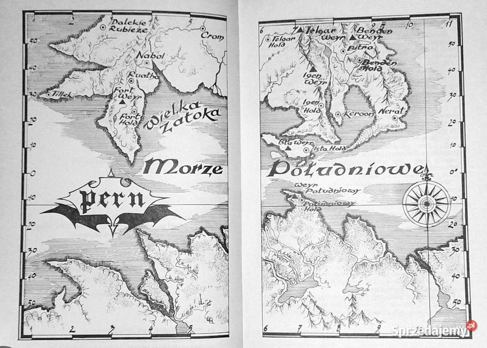Jeźdźcy smoków Anne McCaffrey Chełm sprzedam