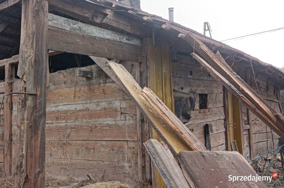 Rozbiórki drewnianych domów budynków stodół Rzeszów