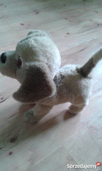 Piesek Bobby Dla Dziecka Jastrzębie-Zdrój