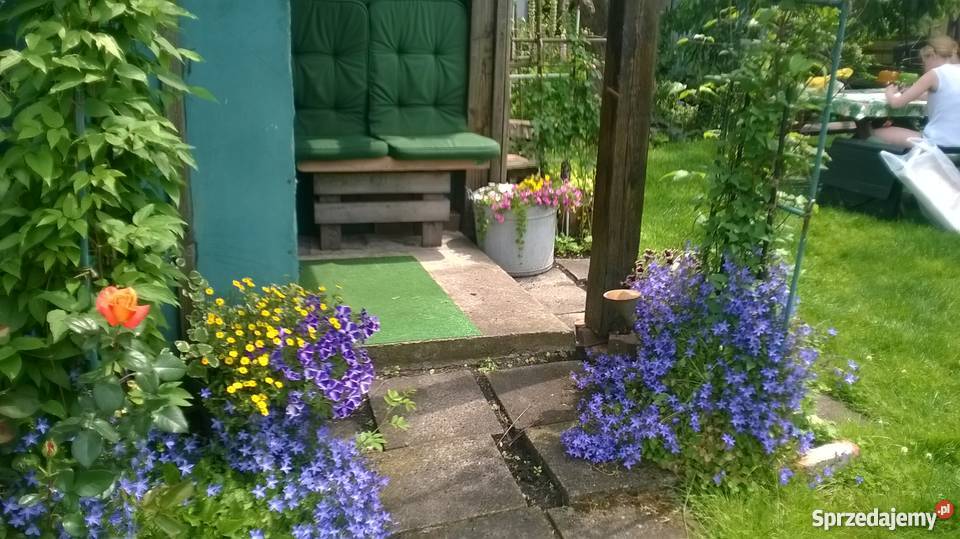 ogród działkowy ROD Szczecin Wyspa Pucka zachodniopomorskie