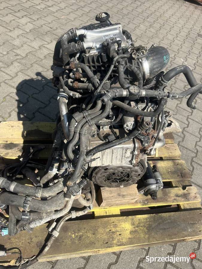 SILNIK do VOLKSWAGEN T6 20 TDI Rok produkcji 2019 Silniki kompletne