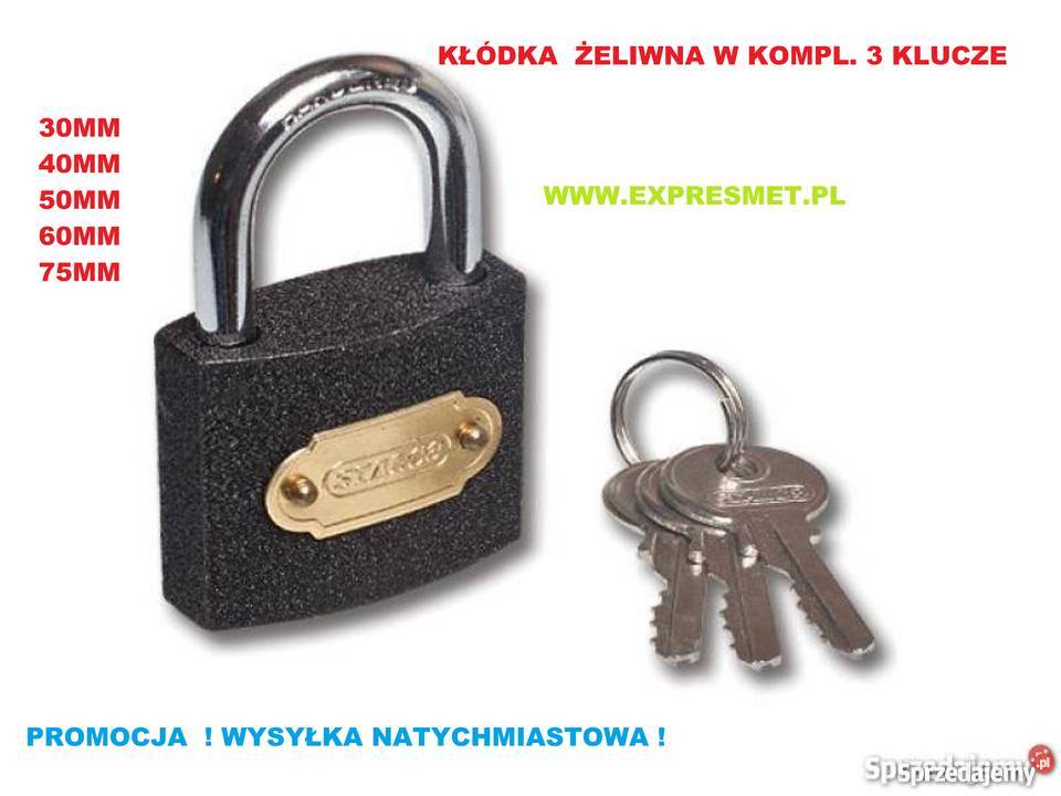 KŁÓDKI KŁÓDKA ŻELIWNA HARTOWANA ZATRZASKOWA 50MM antywłamaniowe Rzeszotary