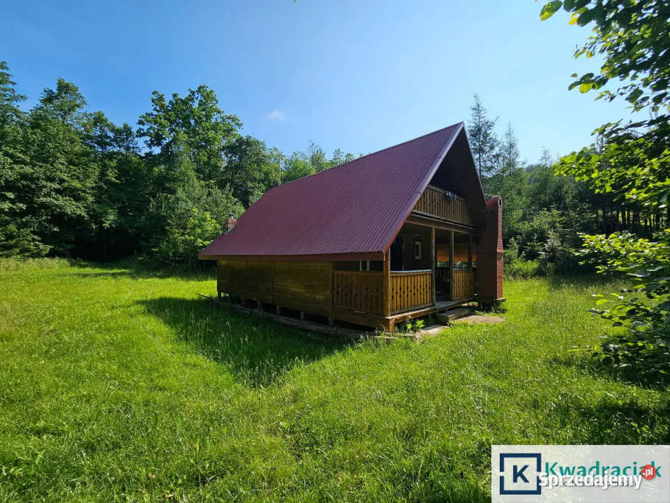 Działka Pietrusza Wola 19200m2 podkarpackie