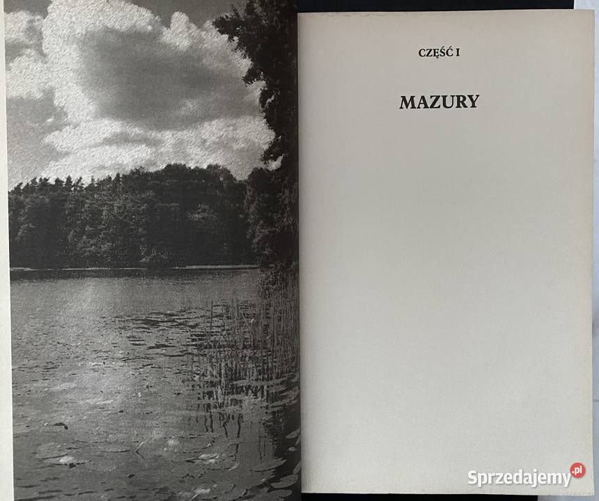 Małgorzata Kalicińska Zwyczajny facet