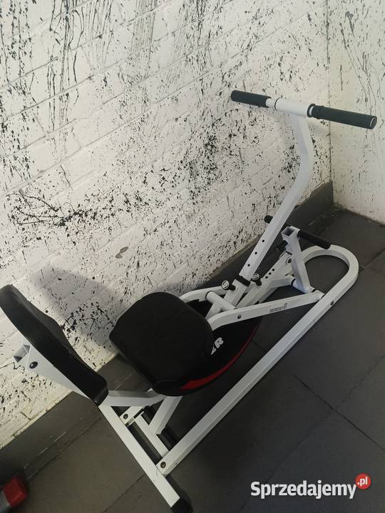 Horse Rider Wioślarz Rehabilitacja Wysyłka HIT Głogów