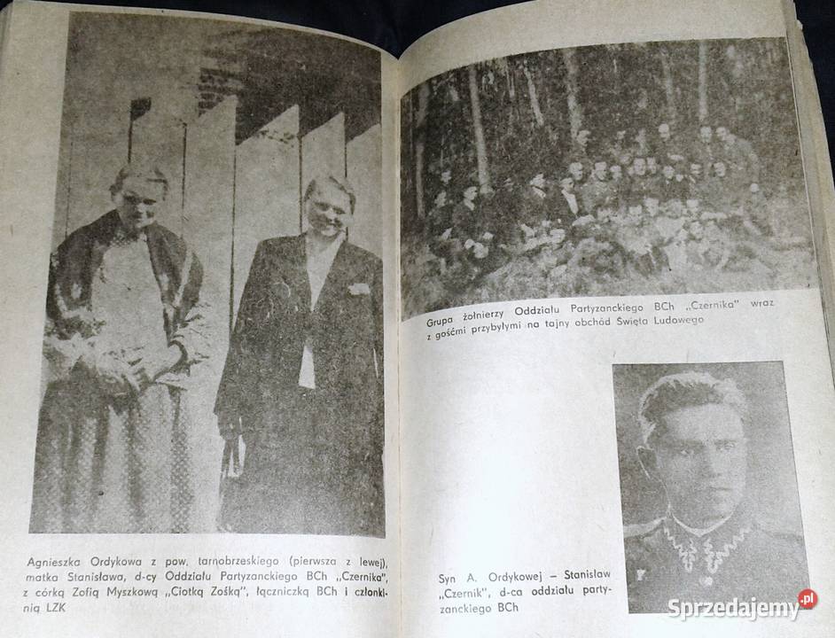 Matki partyzantów Genowefa Cergowska miękka lubelskie Chełm