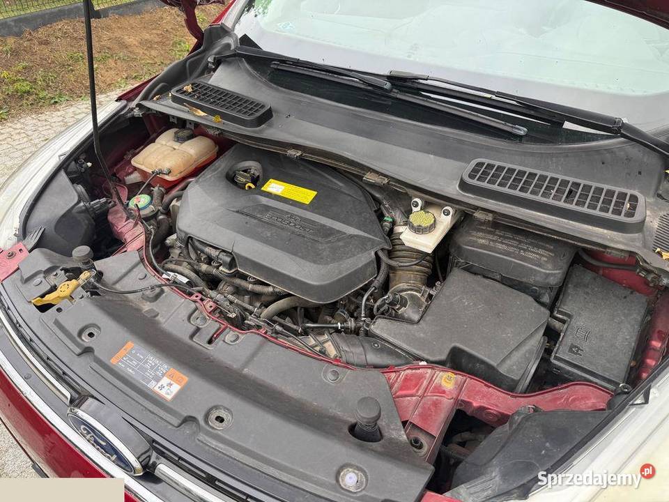 Ford Escape 15 EcoBoost AWD SE 182 2015r Escape Sandomierz