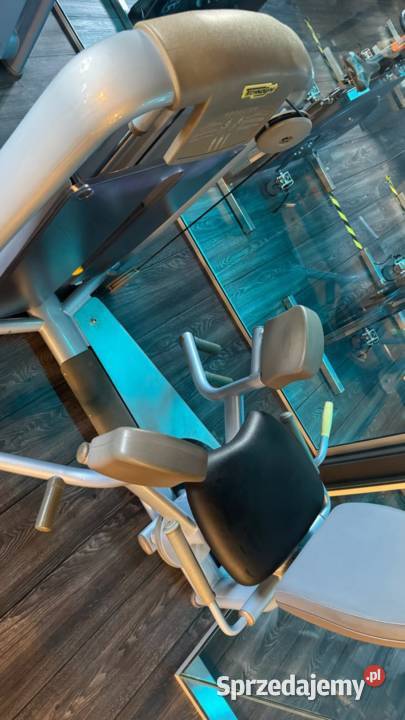 Zestaw maszyn Technogym Selection 17 sztuk sprzedam